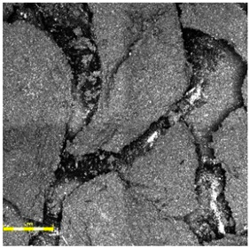 Figure 20