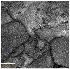 Figure 21