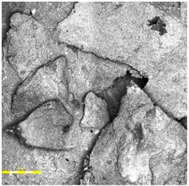 Figure 22