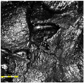 Figure 23