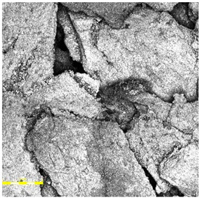 Figure 24