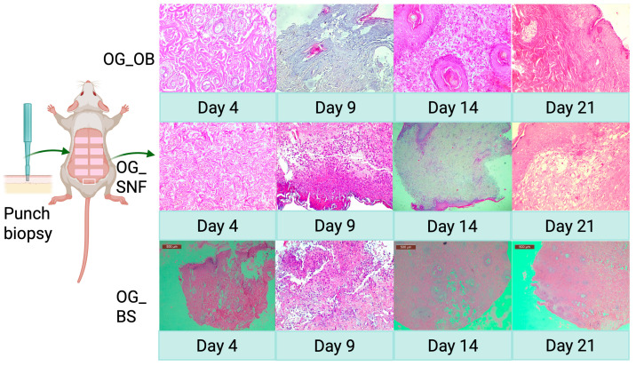 Figure 25