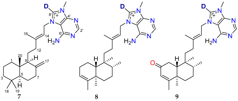 Figure 11