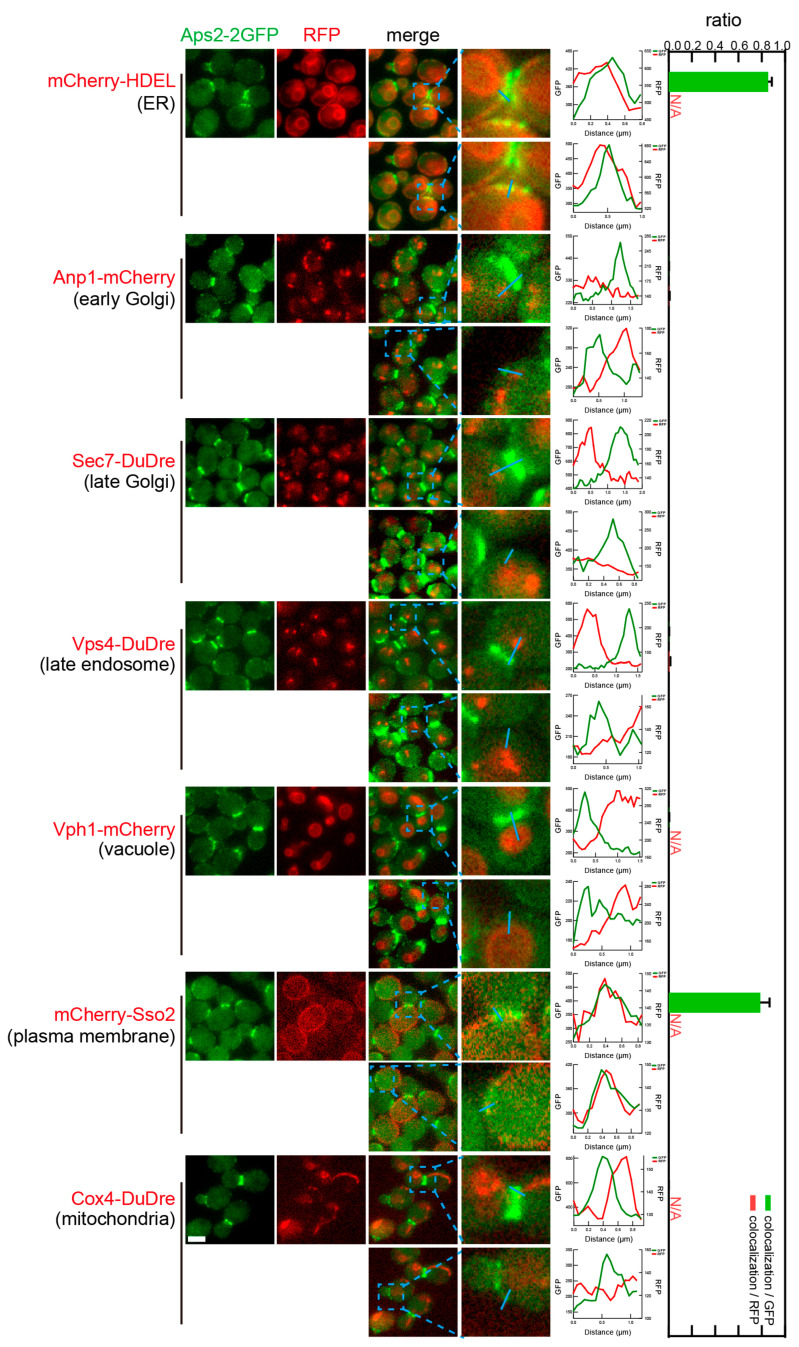 Figure 14