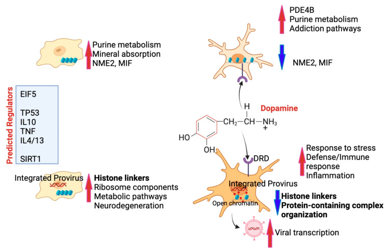 Figure 10