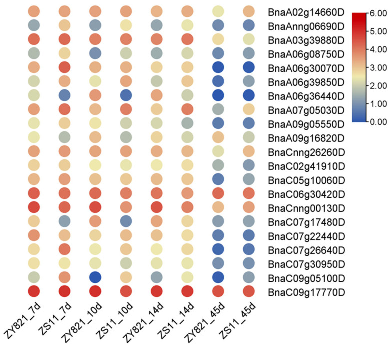 Figure 12