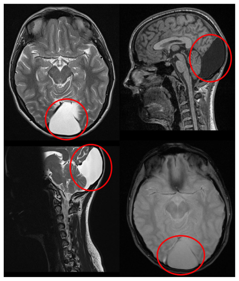 Figure 5