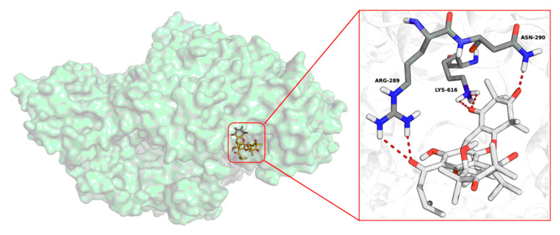 Figure 6