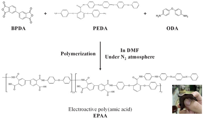 Figure 13