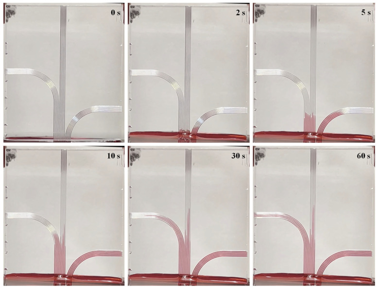 Figure 17
