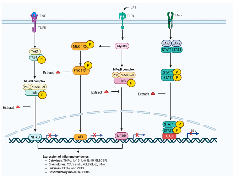 Figure 7