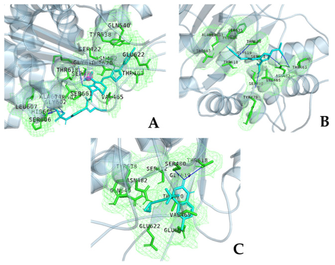 Figure 9