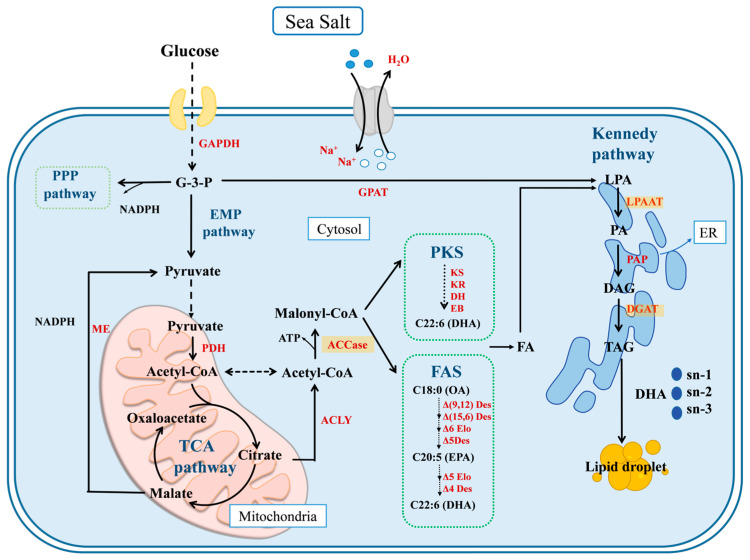 Figure 6