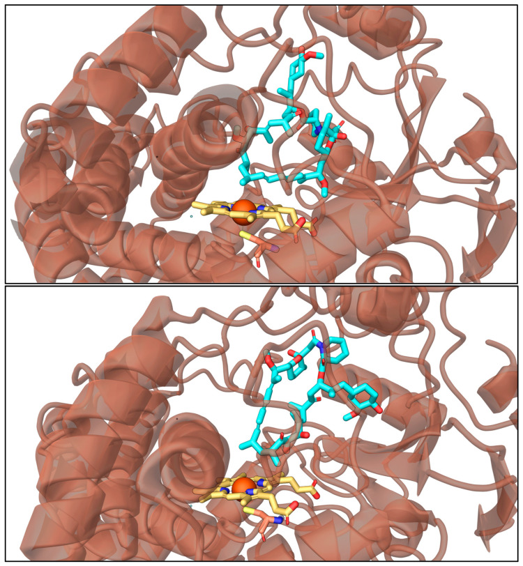 Figure 11