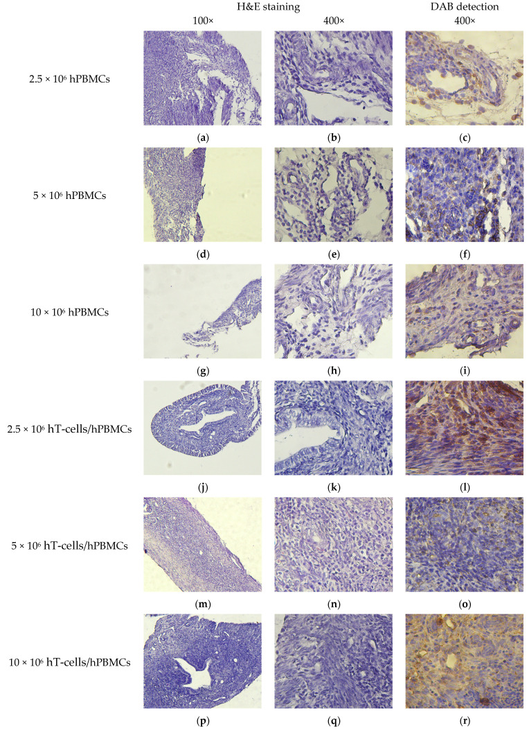 Figure 22