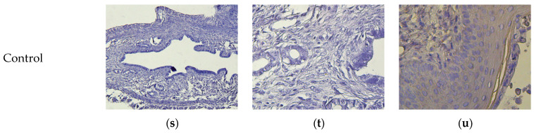 Figure 23