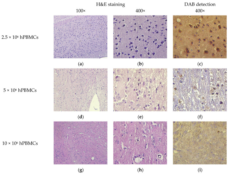 Figure 24