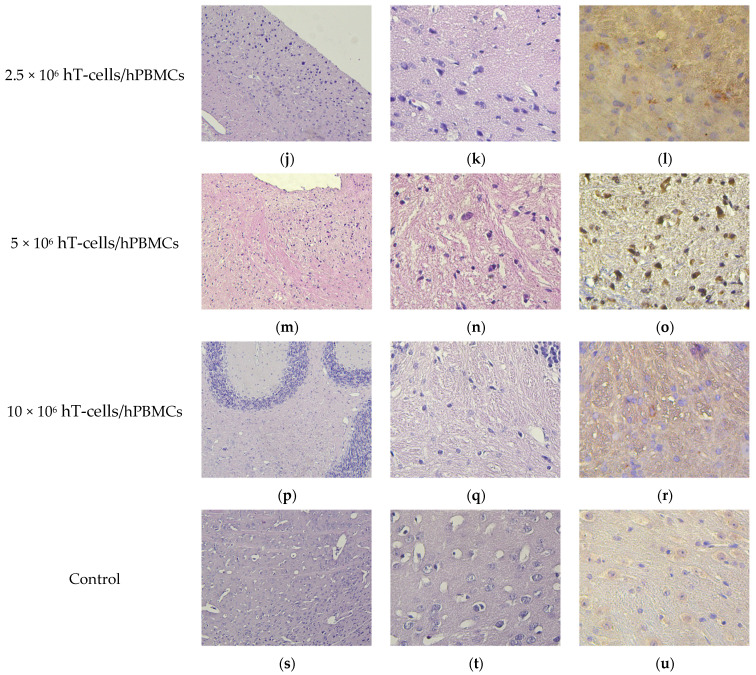 Figure 25