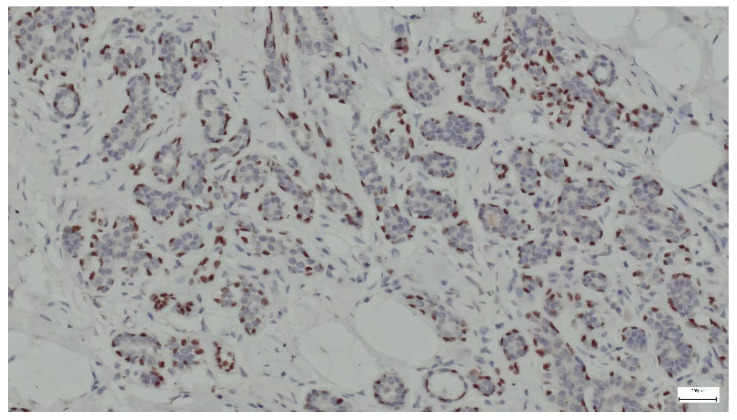 Figure 15