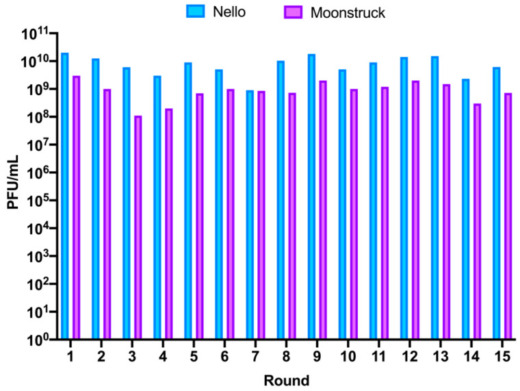 Figure 7