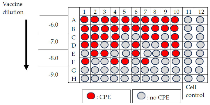 Figure 8