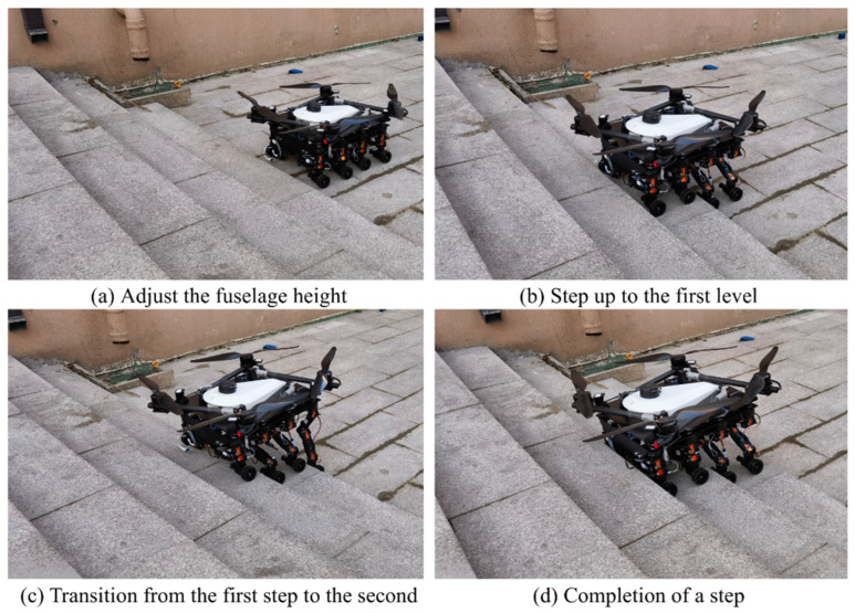Figure 24