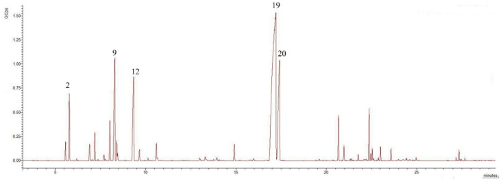 Figure 1