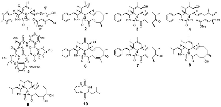 Figure 2