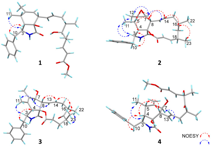Figure 4