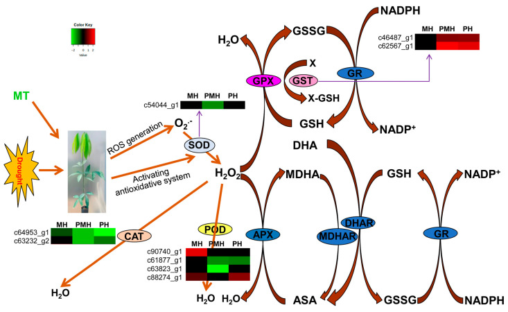 Figure 6