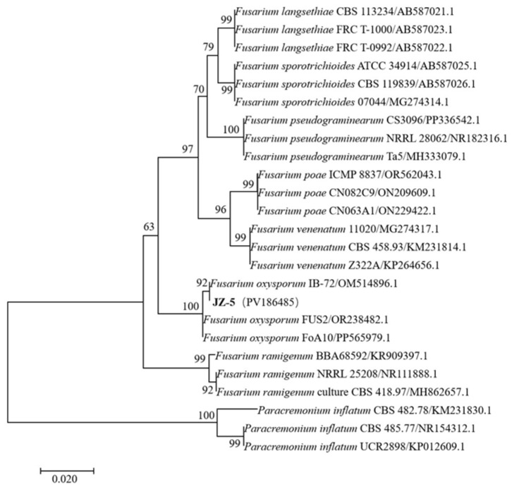 Figure 5
