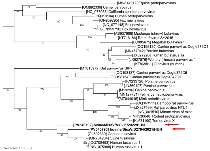 Figure 4