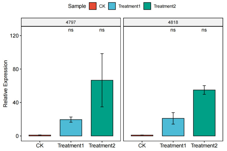 Figure 13