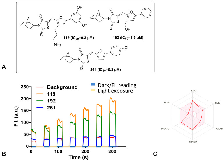 Figure 2
