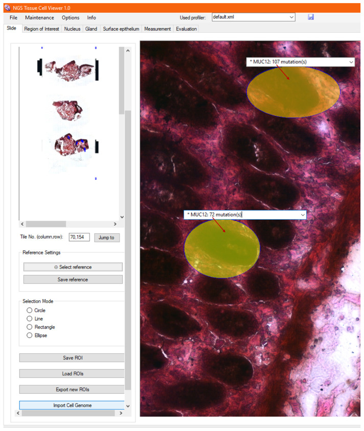 Figure 10