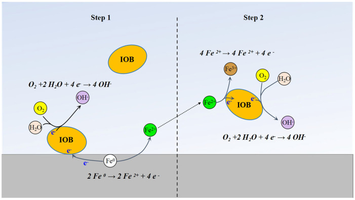 Figure 14