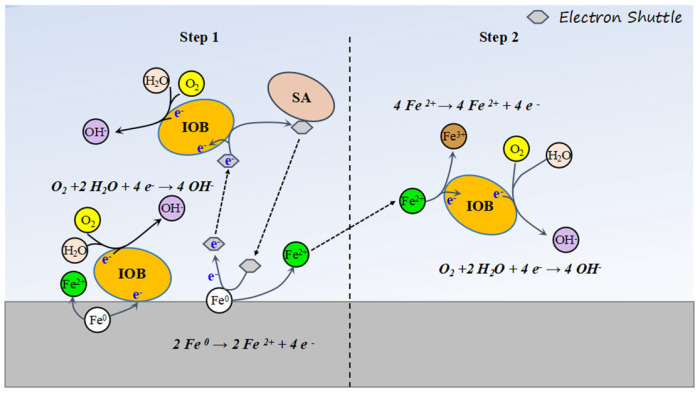 Figure 15
