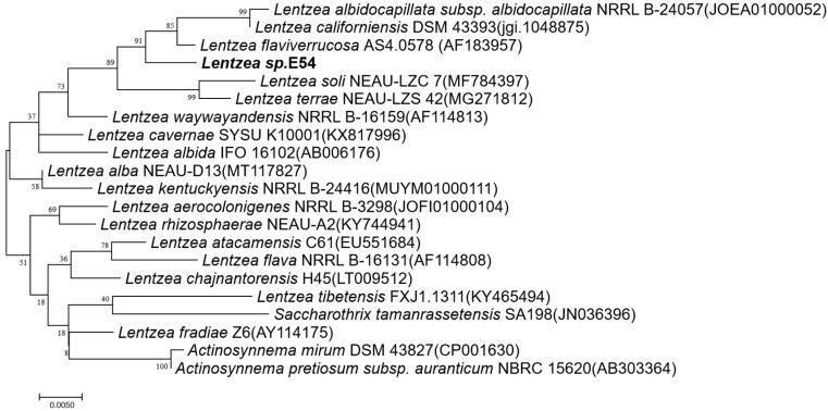 Figure 2