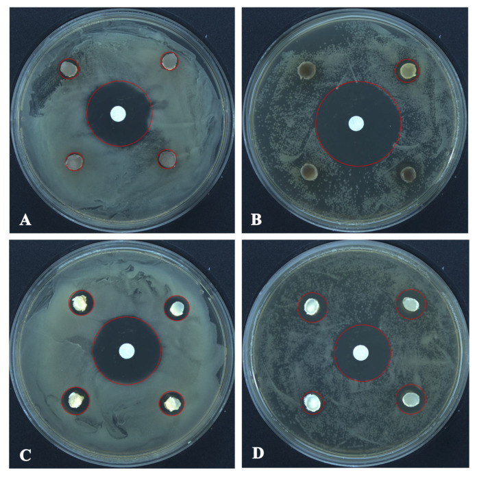 Figure 5