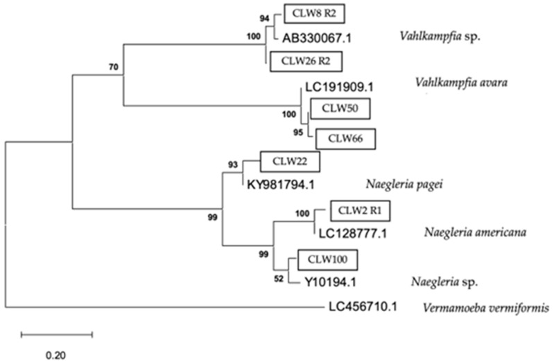 Figure 10