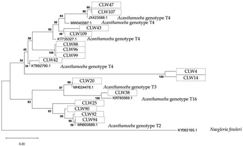 Figure 11