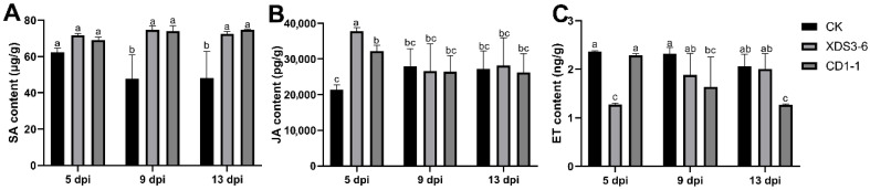 Figure 5