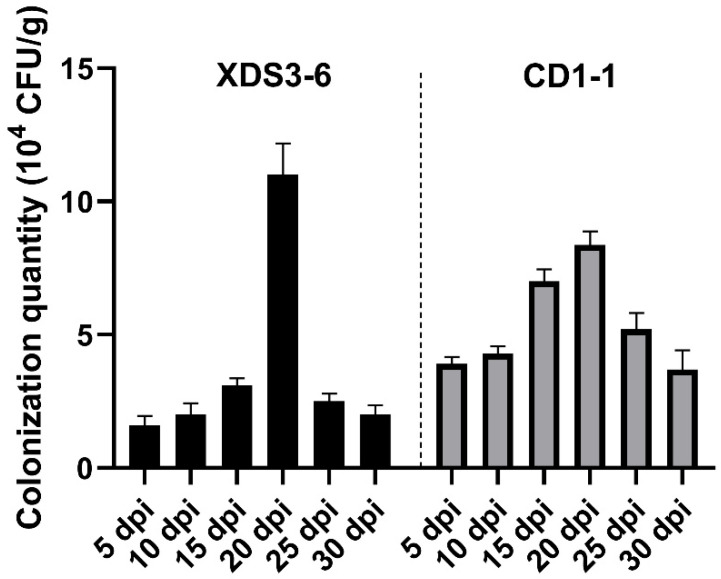 Figure 6