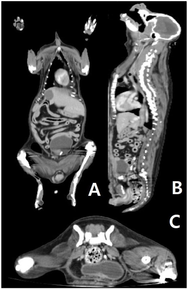 Figure 2