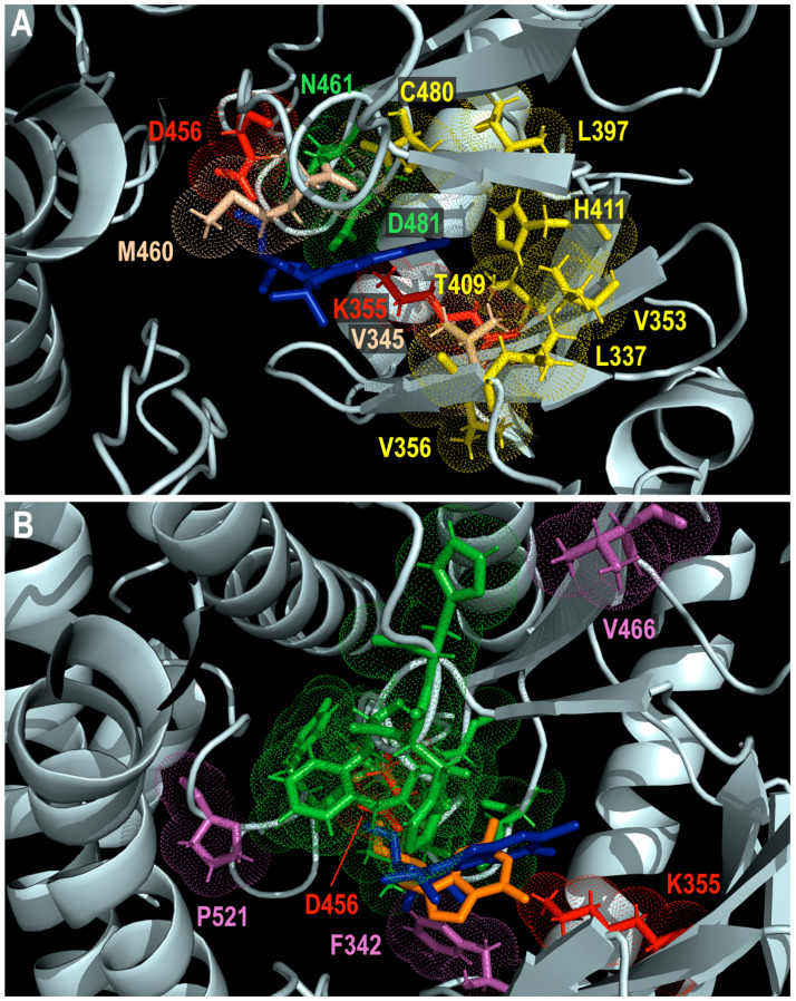 Figure 4