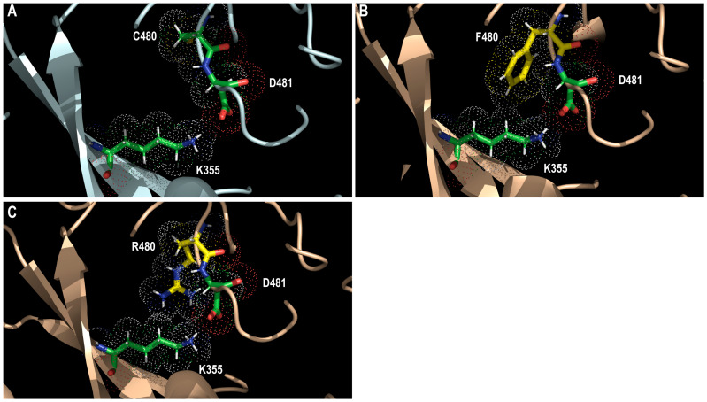 Figure 6