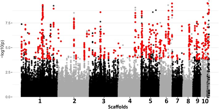 Figure 6
