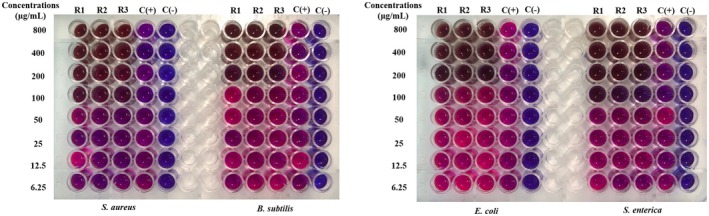 FIGURE 4