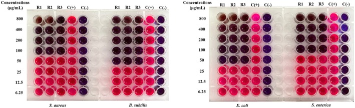 FIGURE 3