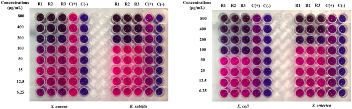 FIGURE 6